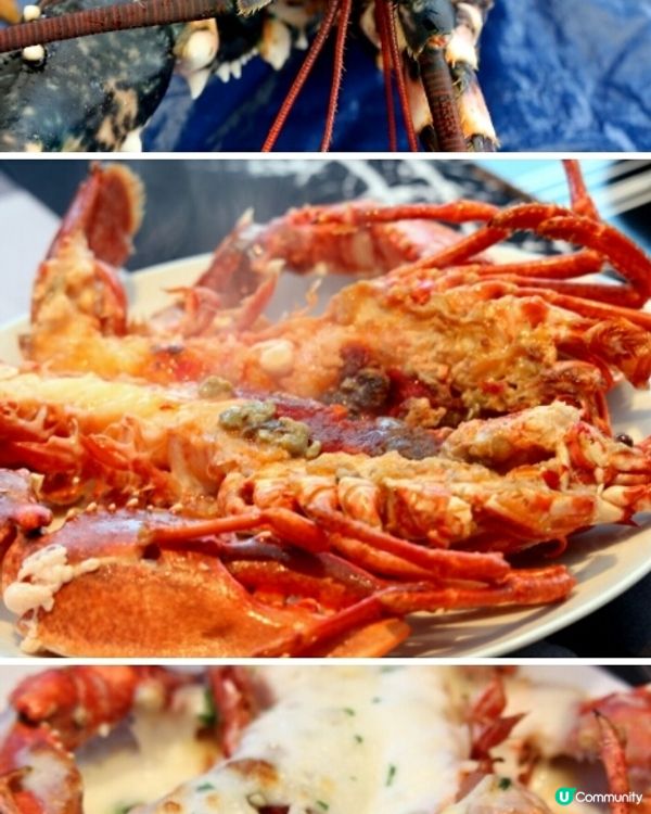 芝士焗龍蝦 哈哈大笑