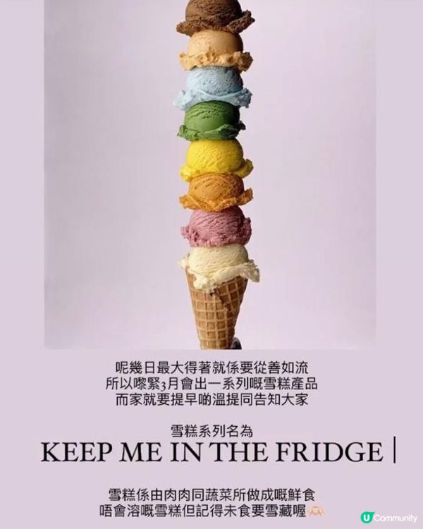 危害狗狗健康食品