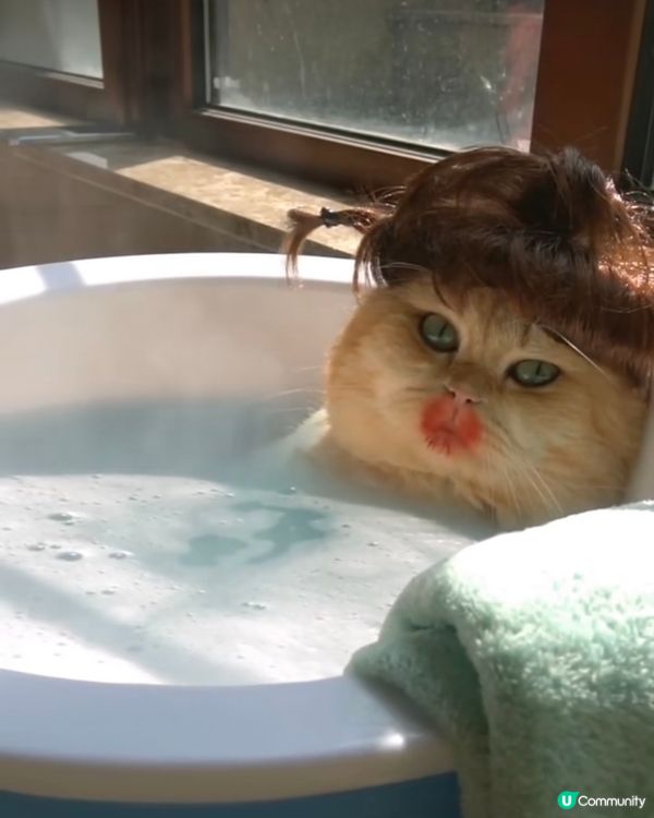 浸浴中