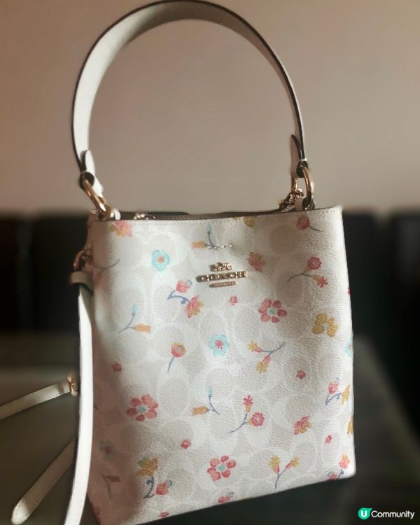 Coach手袋，款式耐看，揀左花花圖案，感覺比較清新年輕🤭米...