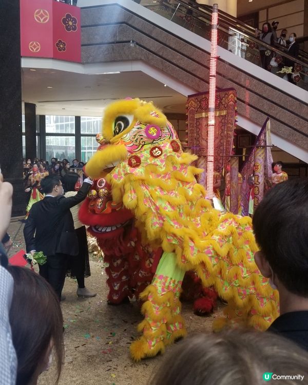 久違嘅舞獅表現