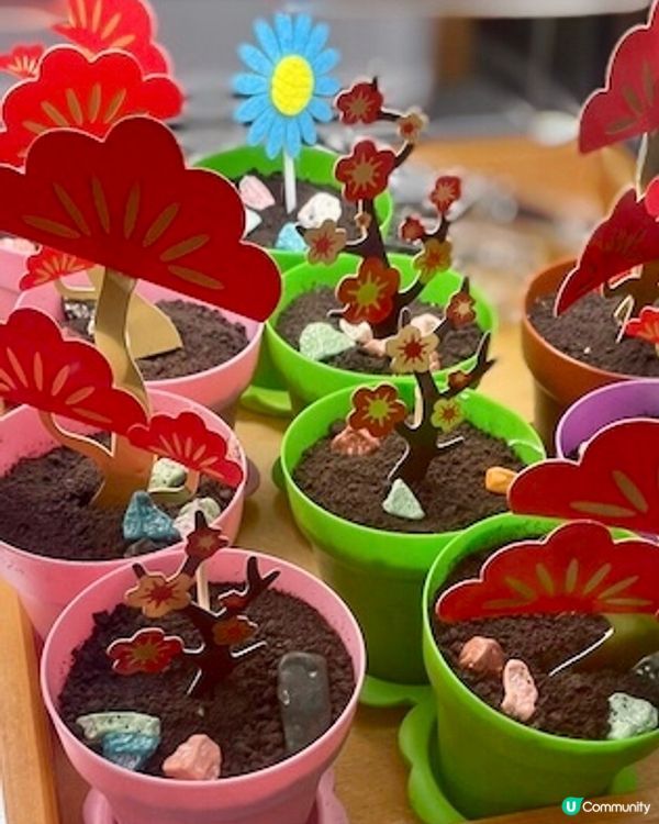 紅桑子芝士同斑斕芝士盆栽甜品😋新春桃花造型好別緻🥰賞心悅目😌...