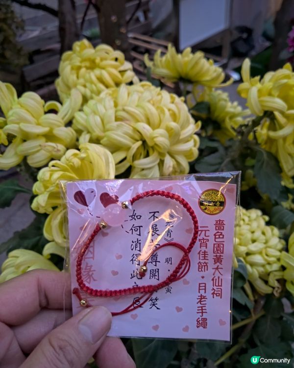 元宵佳節🏮 天賜良緣 💗人緣姻緣🌻Why not both？...