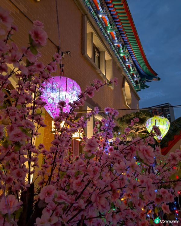 元宵佳節🏮 天賜良緣 💗人緣姻緣🌻Why not both？...