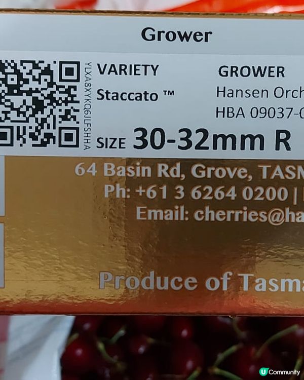 車厘子🍒🍒🍒