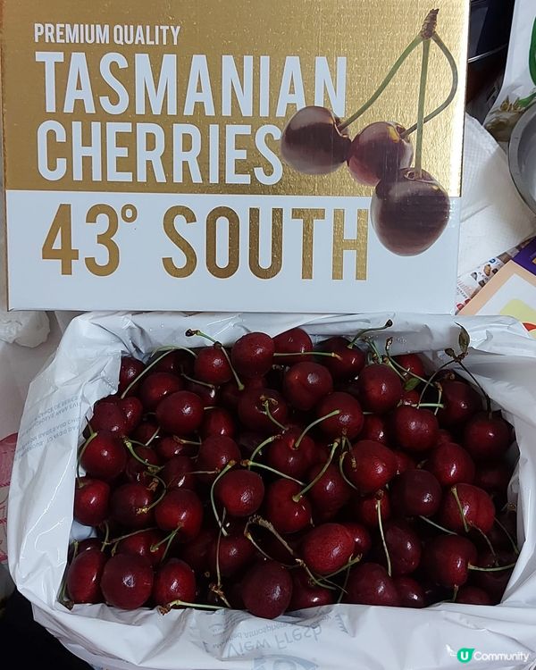 車厘子🍒🍒🍒