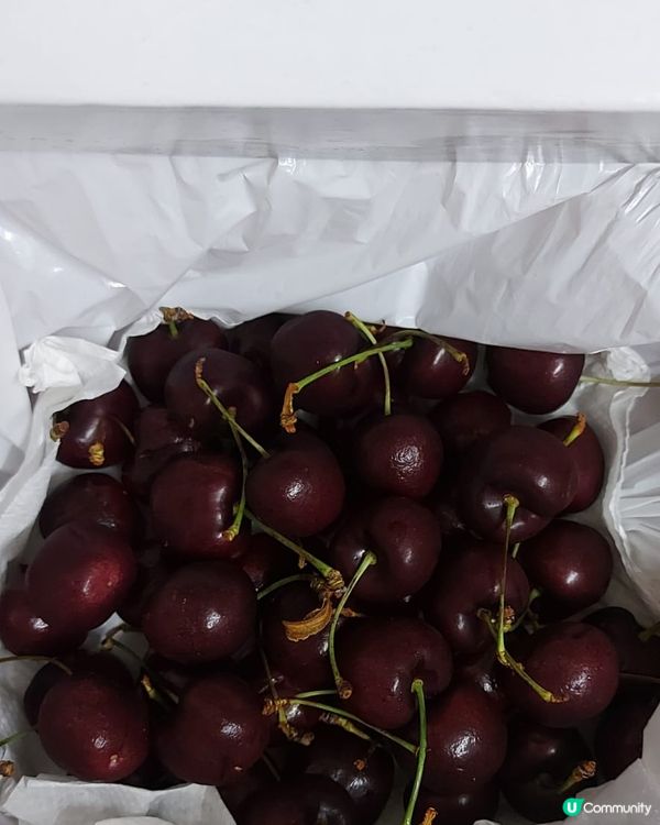 車厘子🍒🍒🍒