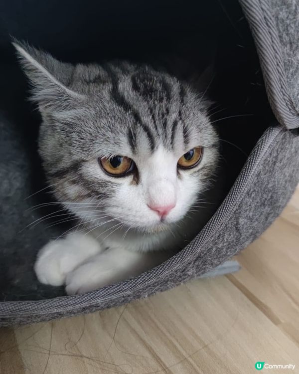 Life is good👍👍