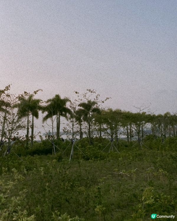 日落打卡熱點💗港版邁亞密