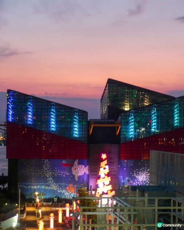 【乘坐摩天輪從高空欣賞大阪港】