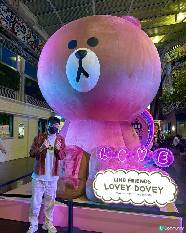 K11🧸成4米高嘅毛茸茸阿BROWN「熊大」情侣打卡位