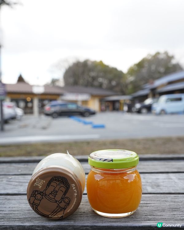 奈良必食的大佛布丁！