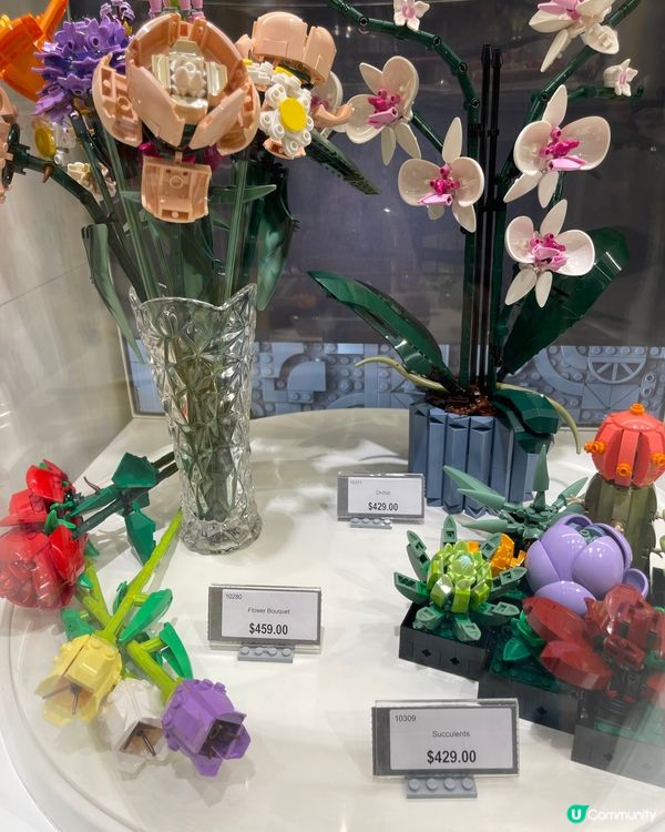 ✅LEGO｜情人節🌹乾花擺設‼️花束💐擺件