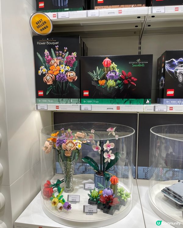 ✅LEGO｜情人節🌹乾花擺設‼️花束💐擺件