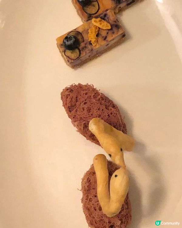 天鵝就是用執子之手，與子偕老！嚟形容！