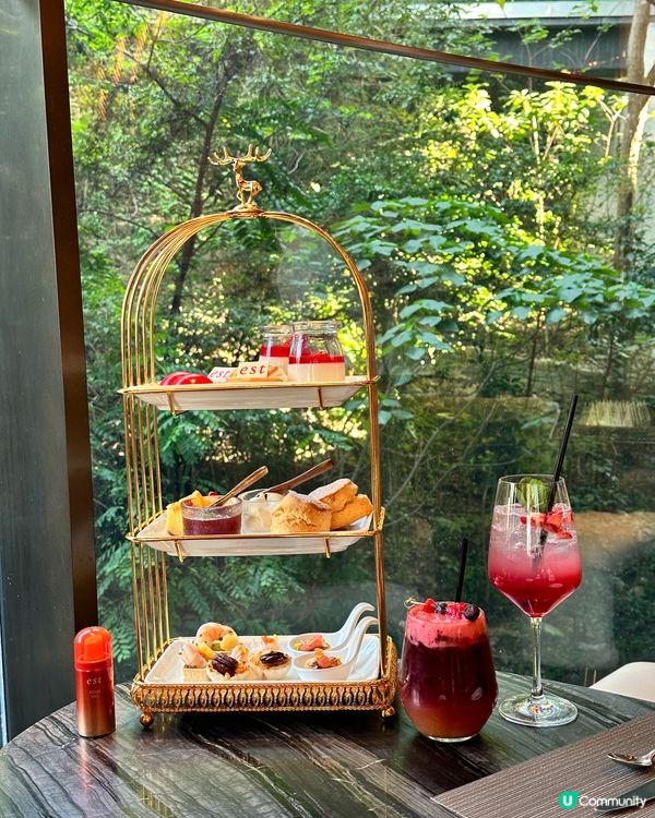 Enjoy afternoon🫖 with greenery