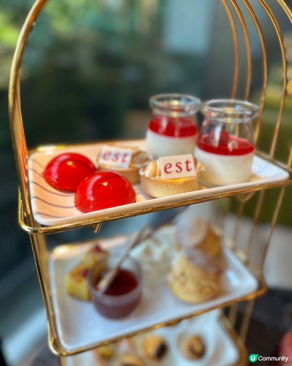 Enjoy afternoon🫖 with greenery