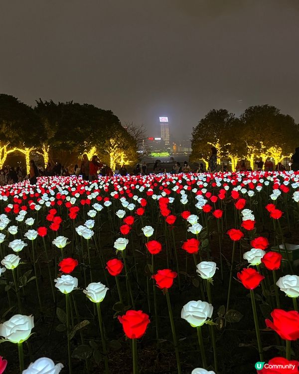 最浪漫🌹跟情人朋友好去處