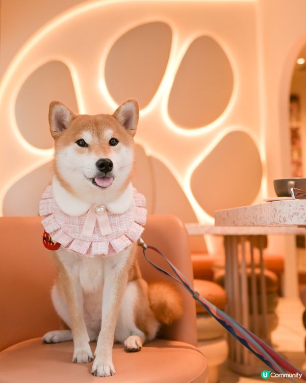 Moojoo - 西營盤紅粉菲菲新餐廳