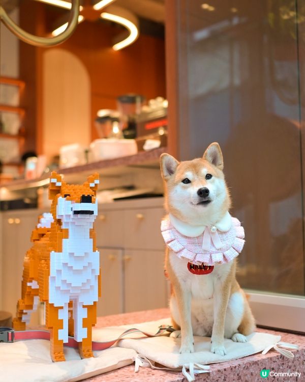 Moojoo - 西營盤紅粉菲菲新餐廳