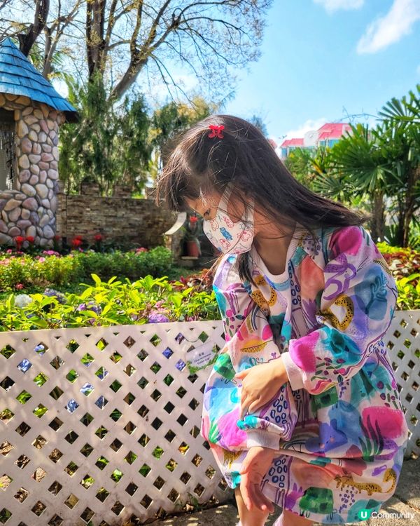 理想與現實之間的距離