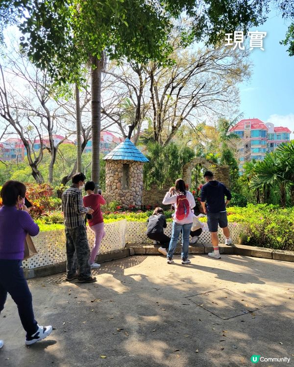 理想與現實之間的距離