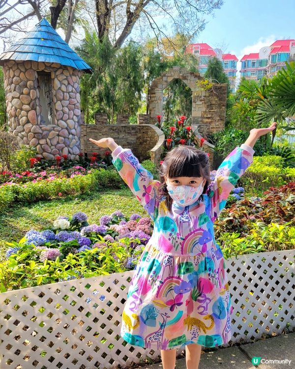 理想與現實之間的距離