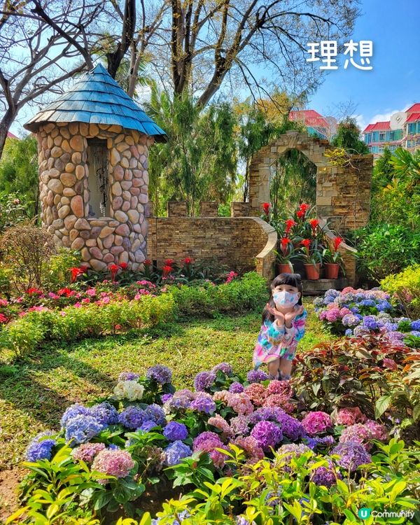 理想與現實之間的距離