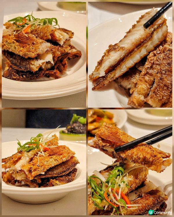 見莆田最近做緊個海蠣節主題，可以用優惠價喺唔同特色嘅海蠣菜式...