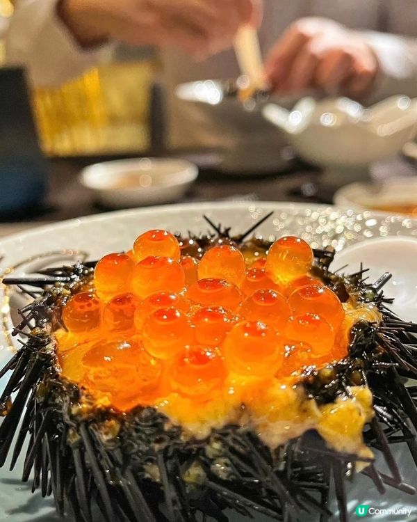 原個海膽+飛魚籽🤤🤤