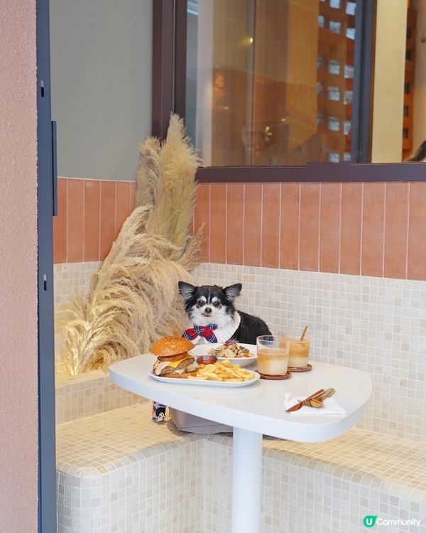 太子渡假風Cafe🌾𝟸 sᴏᴏɴ ᴄᴀғᴇ & ʟᴏᴜɴɢᴇ