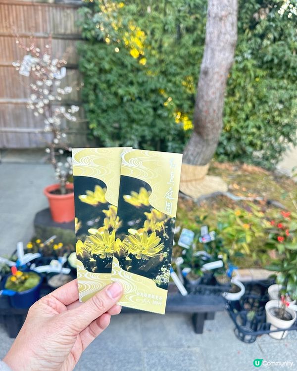 靚靚公園白鳥庭園