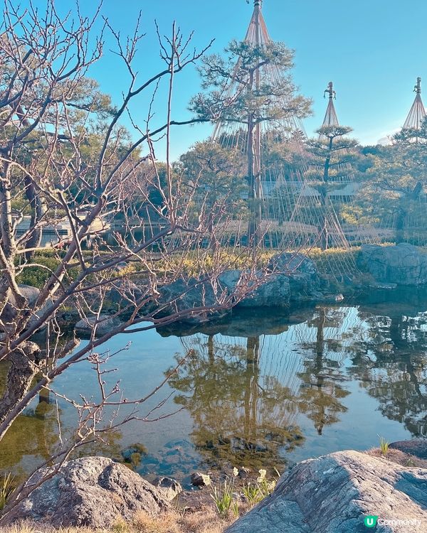 靚靚公園白鳥庭園