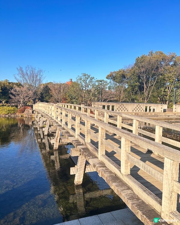 靚靚公園白鳥庭園