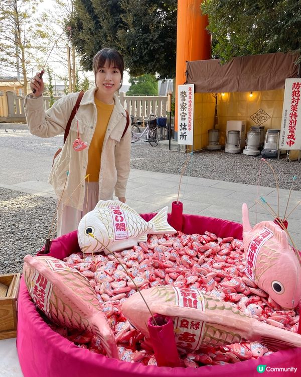 ➰釣魚求籤的神社🎣⛩️➰