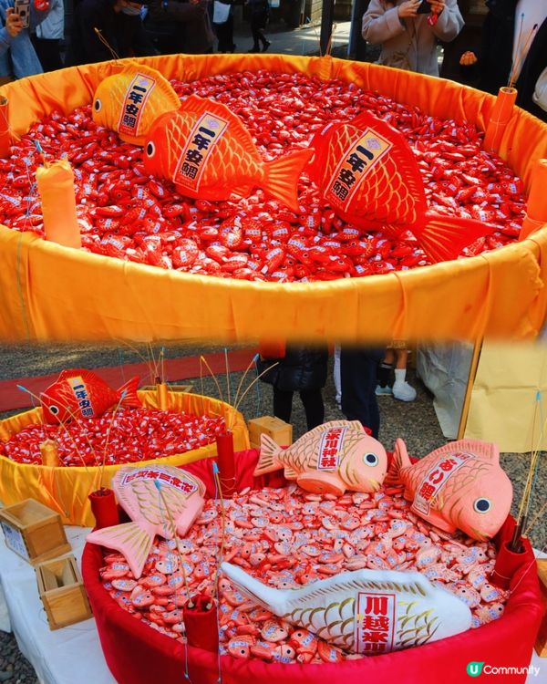 ➰釣魚求籤的神社🎣⛩️➰