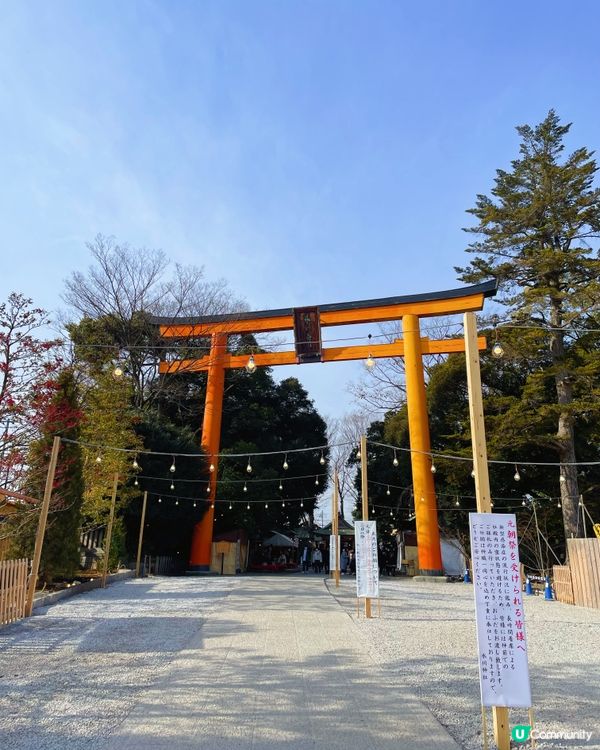 ➰釣魚求籤的神社🎣⛩️➰