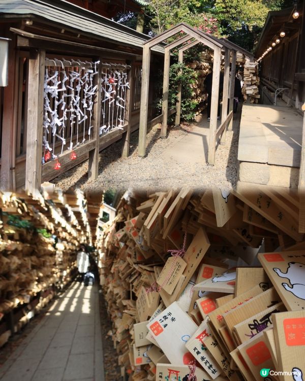 ➰釣魚求籤的神社🎣⛩️➰