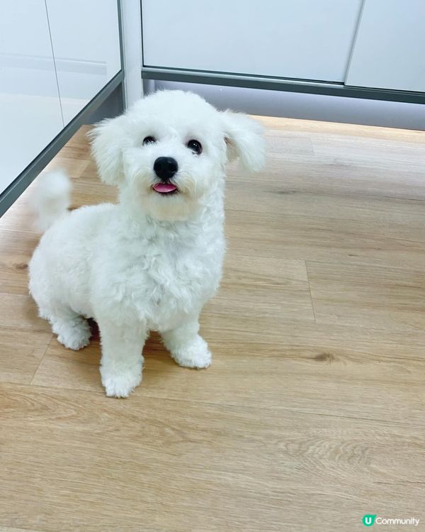 又到左等食時間😝