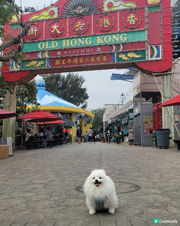 新款招財狗娃娃