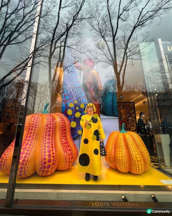 東京旅遊🍀8天7夜食買影相自由行2023（行程規劃）