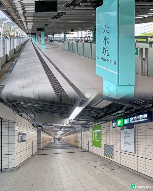 香港新手行山🍀茅坪藤皇+竹林隧道路線