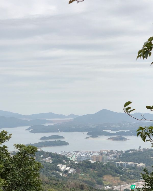 香港新手行山🍀茅坪藤皇+竹林隧道路線