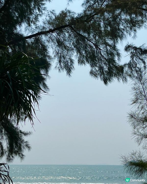 第一次黎籮箕灣camping，營位比我想像中少，建議一點前黎...