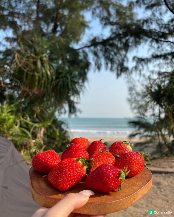 第一次黎籮箕灣camping，營位比我想像中少，建議一點前黎...