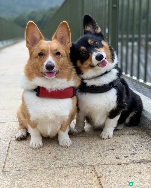 唔記得影左幾多百張先影到咁 😂