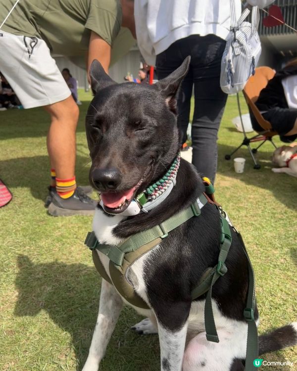 笑到見牙唔見眼 👀 