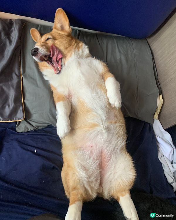 俾返個位黎好喎 #Mercybb