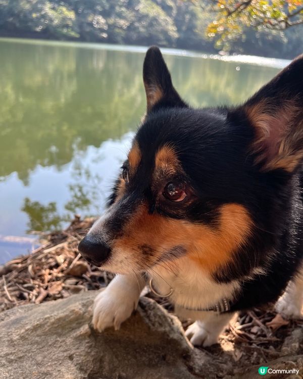 做咩咁抑鬱樣呀 