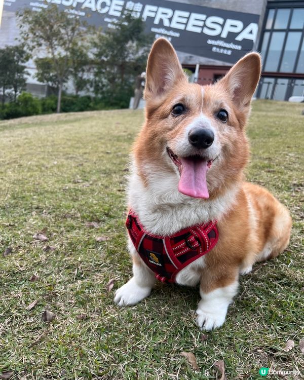 出街玩係開心啲嘅